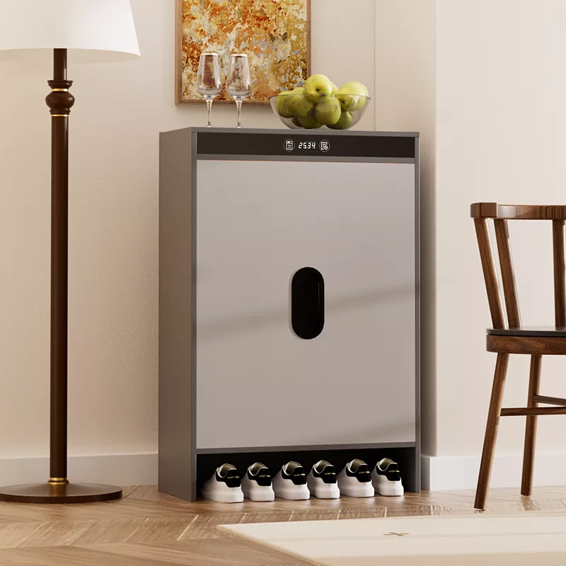 Grafne Električni ogrevalni čas za sušenje čevljev