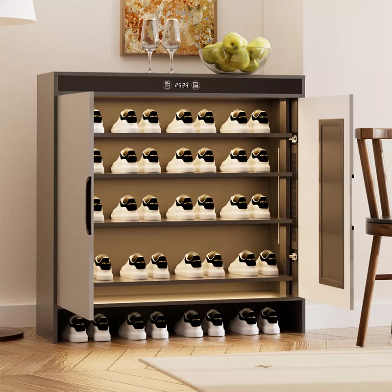 Grafne Električni ogrevalni čas za sušenje čevljev