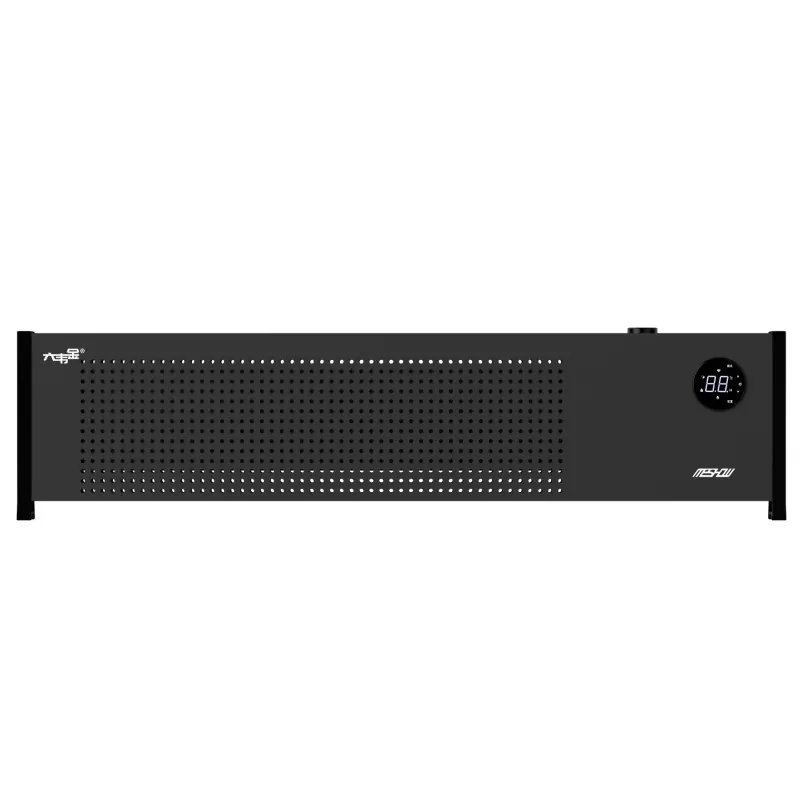 2200W električni grelec črne grafene